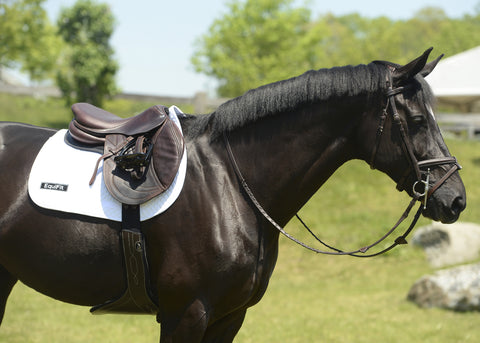 EquiFit® Anatomical BellyGuard Girth with SheepsWool™ T-Foam Liner