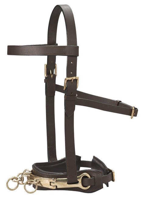 DS Leather Lunge Caveson