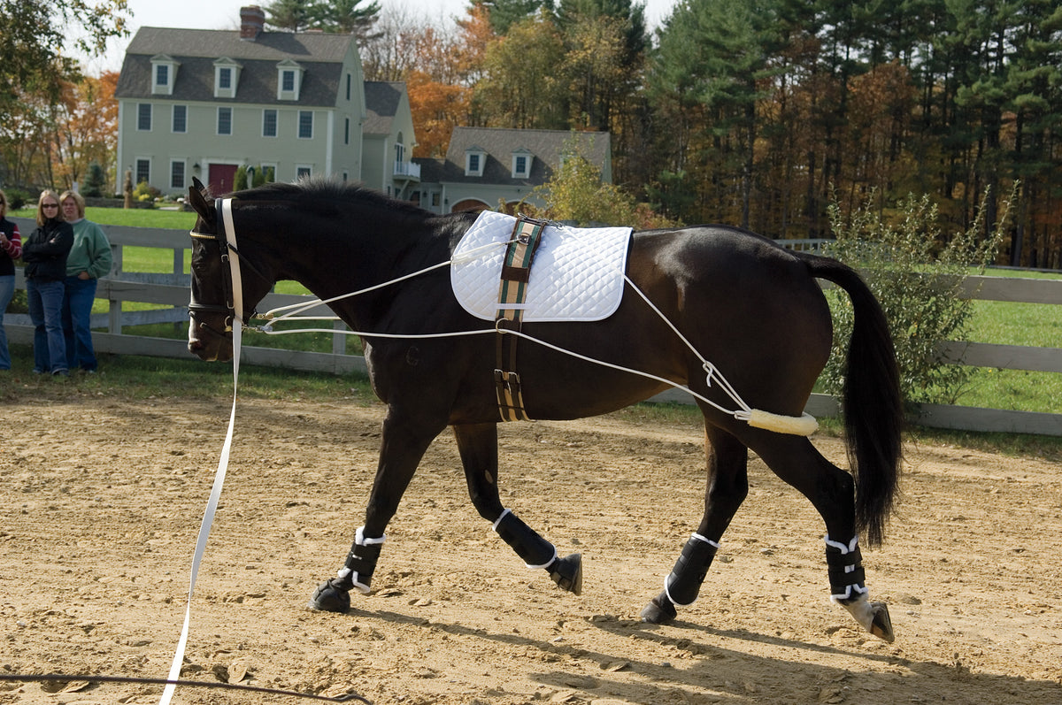 Lunge Lines, Draw Reins, Surcingles – Dover Saddlery