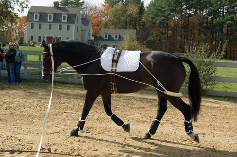 Pessoa® Training System
