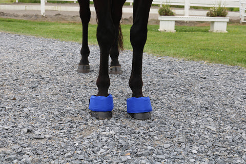 EZ Ice Hoof - Founder Pack