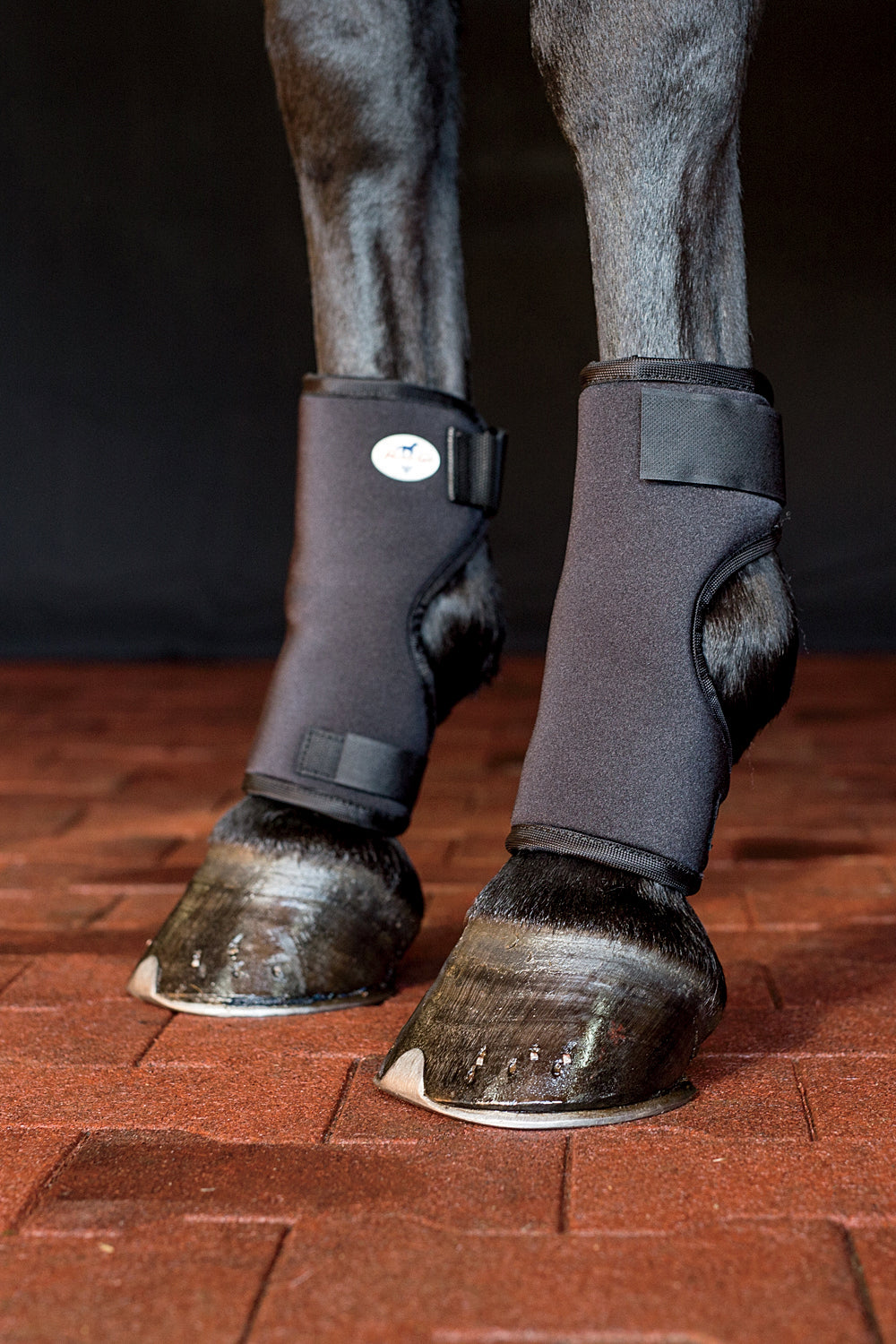 Horse Hoof Boots, Hock Boots – Dover Saddlery