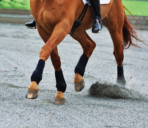 Equilibrium Stretch and Flex Training Leg Wraps
