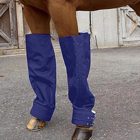 Jack’s Ice Boots - Royal Blue - Therapy Horse