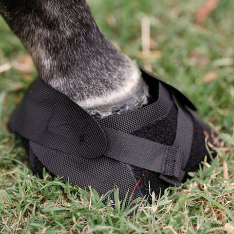 Hoof Wraps™ Bandage