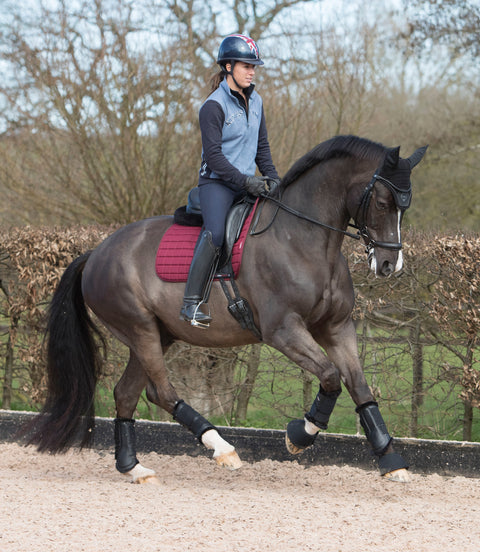 LeMieux® Fleece-Lined Brushing Boots