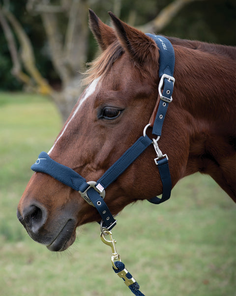 Lami-Cell Fleece-Lined Halter