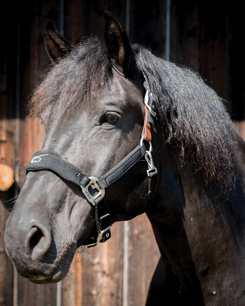 Lami-Cell Fleece-Lined Halter