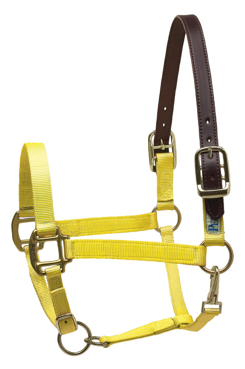 Perri’s® Premium Nylon Breakaway Halter