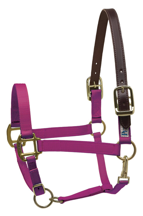Perri’s® Premium Nylon Breakaway Halter