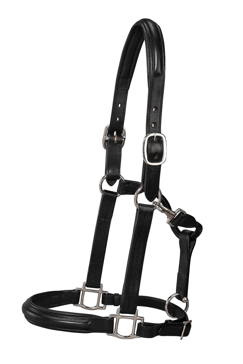 Horse Halters – Dover Saddlery