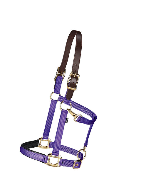 Suffolk™ Bright Breakaway Halter