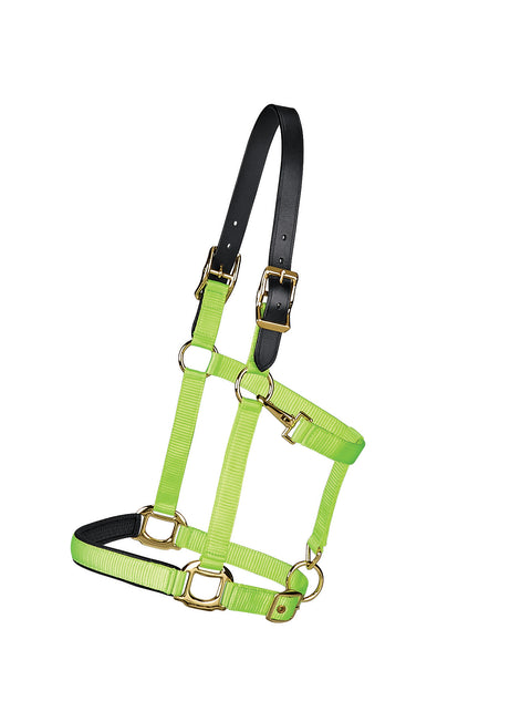 Suffolk™ Bright Breakaway Halter