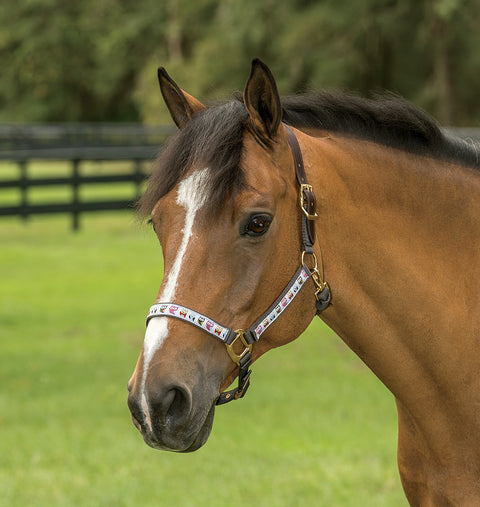 Suffolk™ Ribbon Trim Breakaway Halter