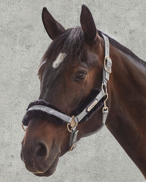 LeMieux® Loire Halter