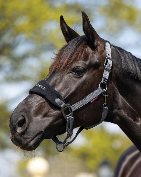 LeMieux® Vogue Halter & Rope Lead Set