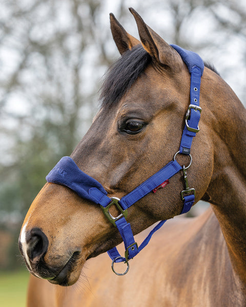 LeMieux® Vogue Halter & Rope Lead Set