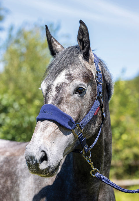 LeMieux® Vogue Halter & Rope Lead Set