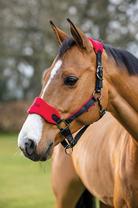 LeMieux® Vogue Halter & Rope Lead Set
