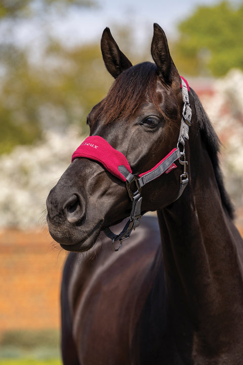 LeMieux® Vogue Halter & Rope Lead Set