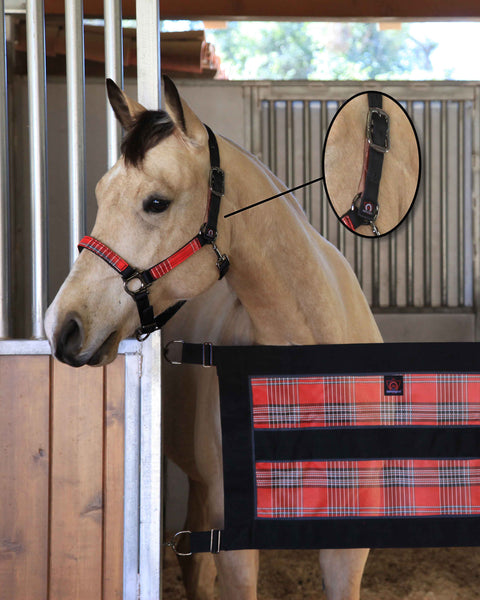 Kensington™ Premium Breakaway Halter - Black With Deluxe Red / Small Horse - Halters Leather