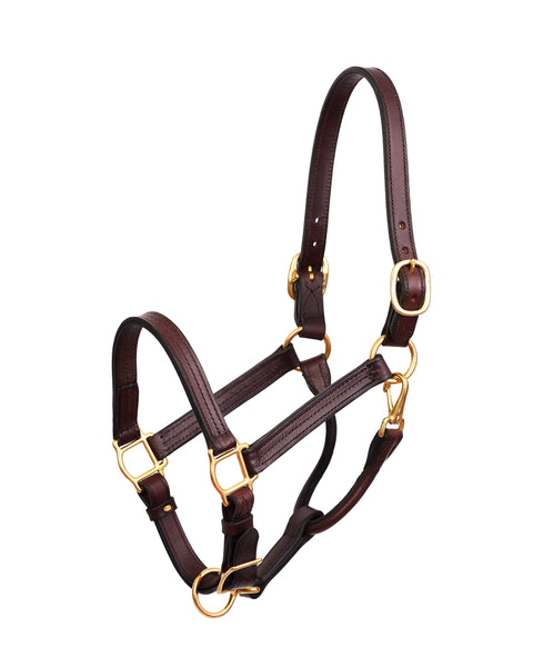 Perri’s® Premium Leather XL Show Halter