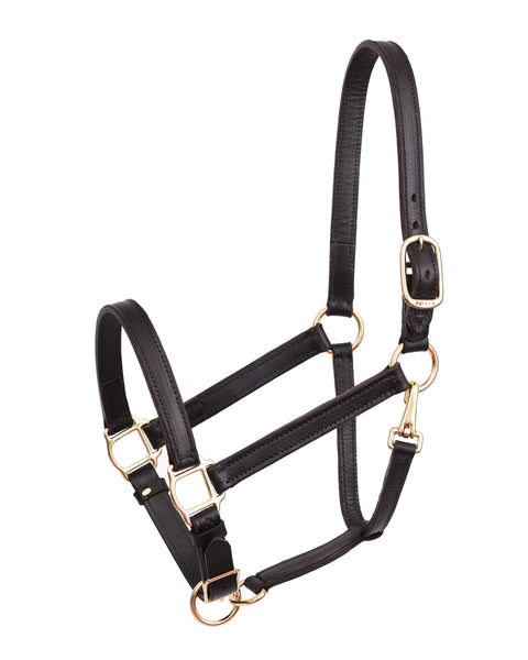 Perri’s® Leather Turnout Yearling Halter