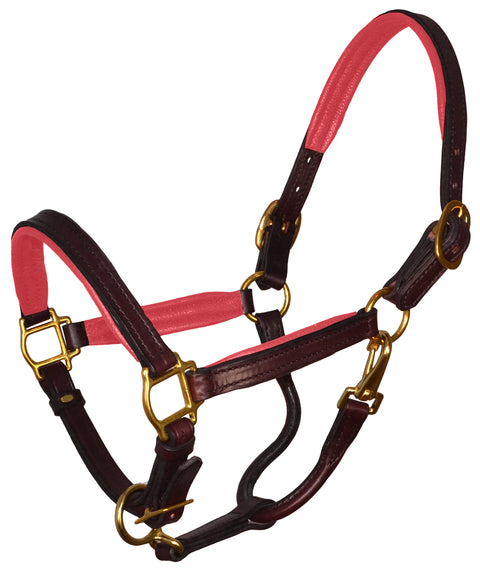 Perri’s® Padded Leather Pony Halter
