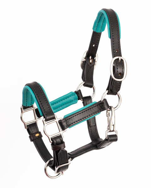 Perri’s® 3/4" Padded Leather Mini Halter