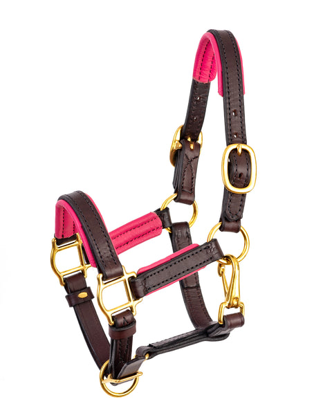 Perri’s® 3/4" Padded Leather Mini Halter