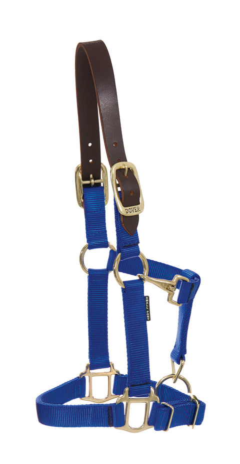 DS Heavy Nylon Breakaway Halter