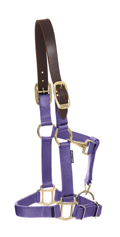DS Heavy Nylon Breakaway Halter