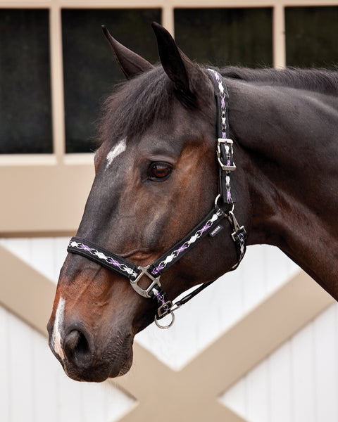 Suffolk™ Woven Argyle Breakaway Halter