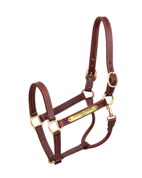Perri’s® Professional Halter with Nameplate