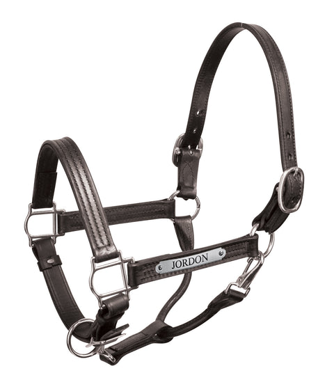 Perri’s® Premium 1" Leather Show Halter with Nameplate