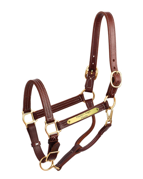 Perri’s® Premium 1" Leather Show Halter with Nameplate