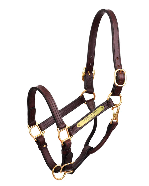 Perri’s® Premium 1" Leather Show Halter with Nameplate