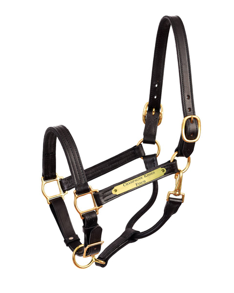 Perri’s® Premium 1" Leather Show Halter with Nameplate