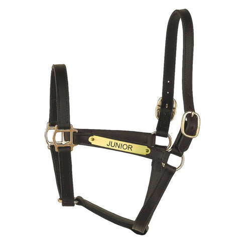 Perri’s® Track Style Turnout Halter with Snap