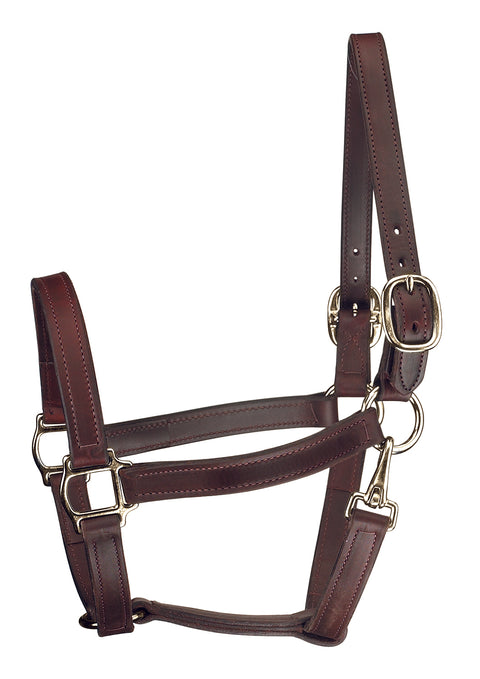Perri’s® Track Style Turnout Halter with Snap