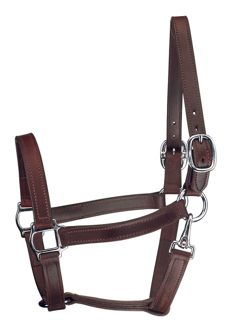 Perri’s® Track Style Turnout Halter with Snap