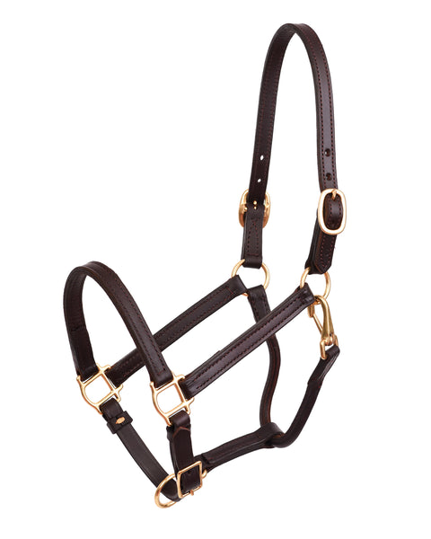 Perri’s® 3/4" Premium Leather Show Halter