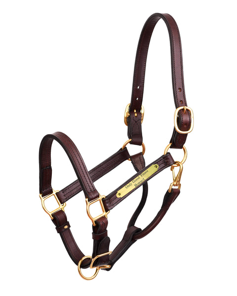Perri’s® 1" XL Stallion Premium Leather Show Halter with Nameplate