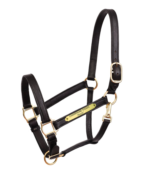 Perri’s® 1" Leather Turnout Halter with Nameplate