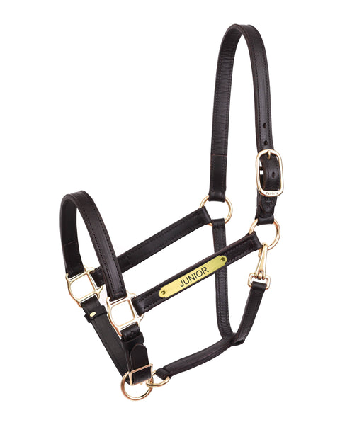 Perri’s® Draft Leather Turnout Halter