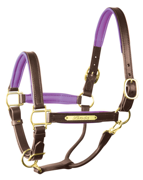 Perri’s® 1’’ Padded Leather Halter with Nameplate - Havana/Navy / Horse - Halters Leather