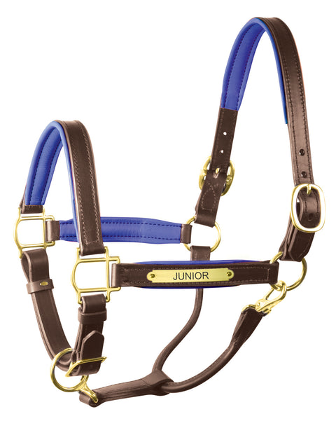 Perri’s® 1" Padded Leather Halter with Nameplate