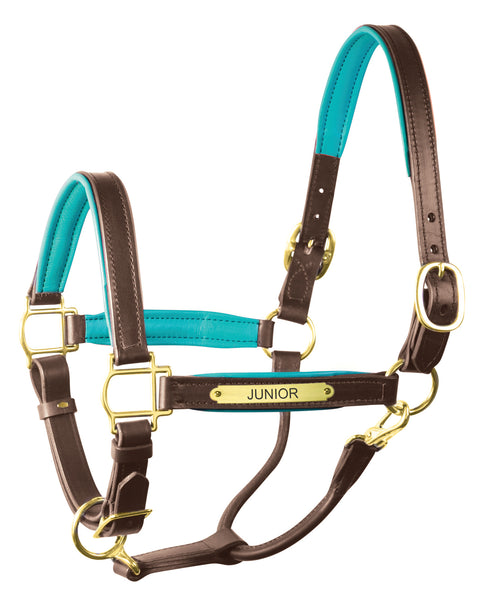 Perri’s® 1’’ Padded Leather Halter with Nameplate - Havana/Turquoise / Horse - Halters Leather