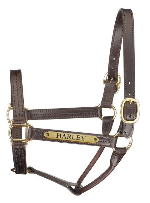 Perri’s® Premium Track Style Leather Show Halter with Nameplate