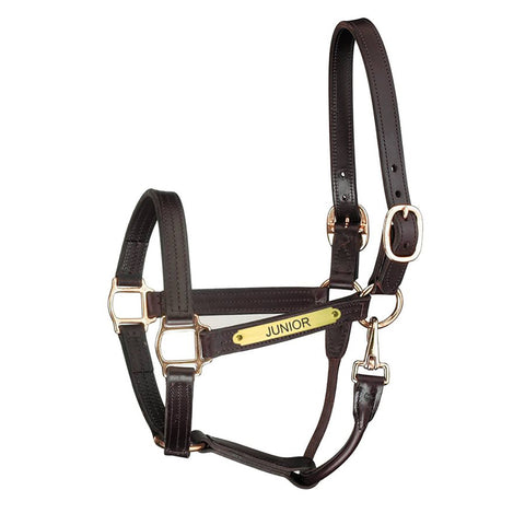 Perri’s® Premium Track Style Leather Show Halter with Snap & Nameplate